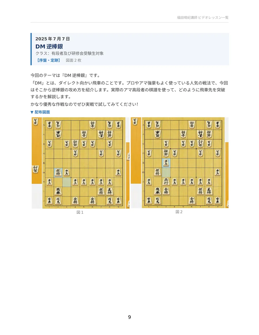 DM逆棒銀 配布資料